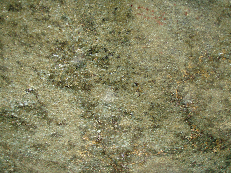 P4240068